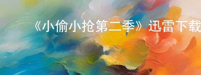 卜珍珍发布《小偷小抢第二季》迅雷下载/在线观看-都市情感-美剧天堂